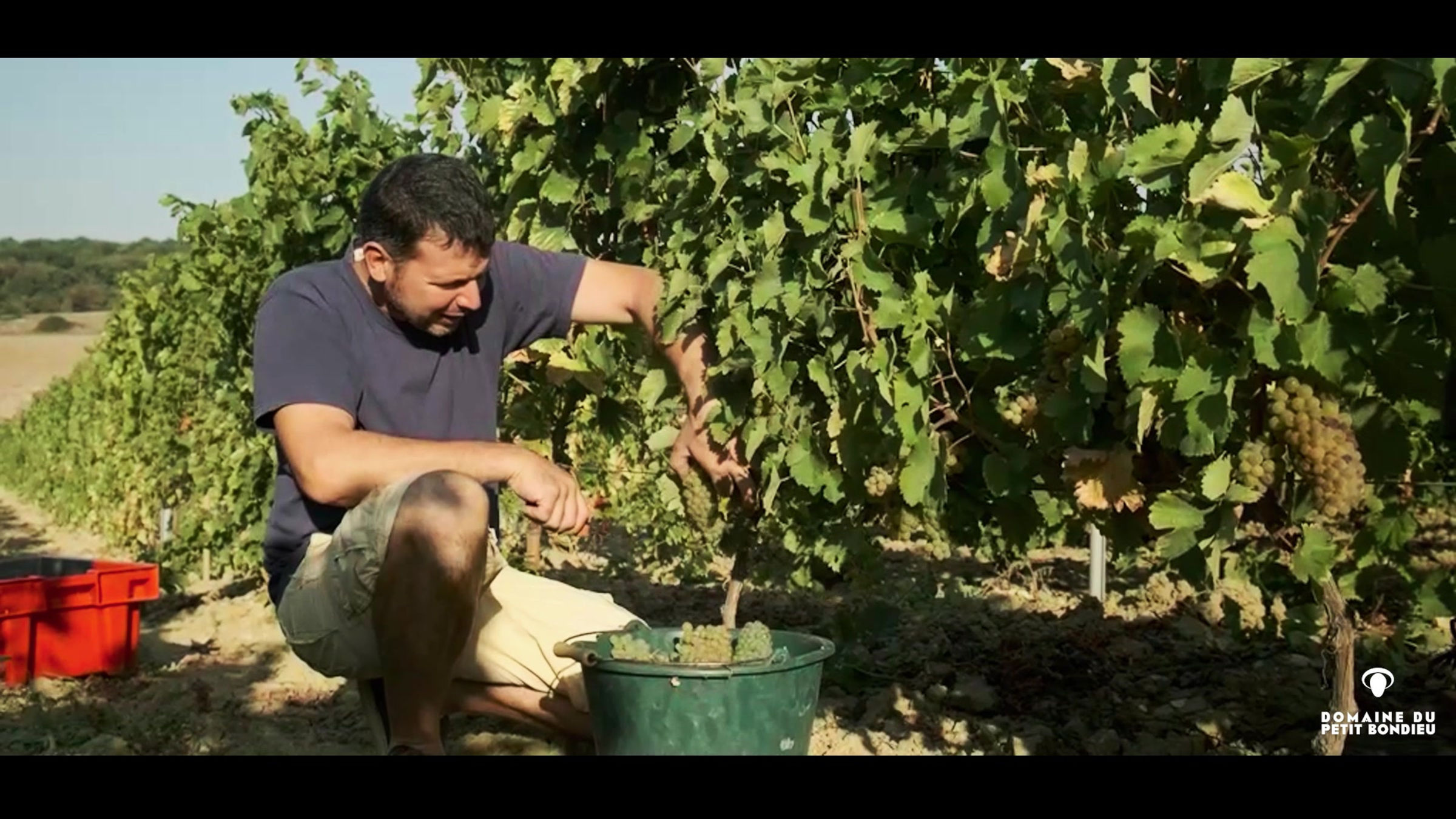 Le Domaine du Petit Bondieu en images